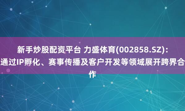 新手炒股配资平台 力盛体育(002858.SZ)：拟通过IP孵化、赛事传播及客户开发等领域展开跨界合作